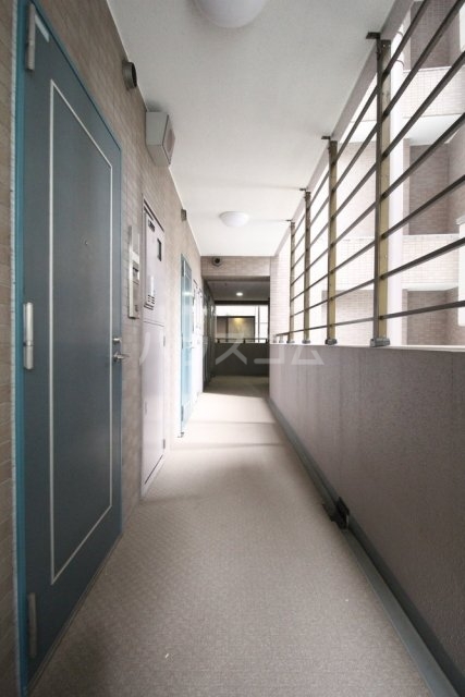 20/30 その他画像