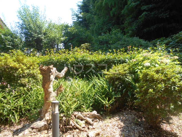 15/27 その他画像