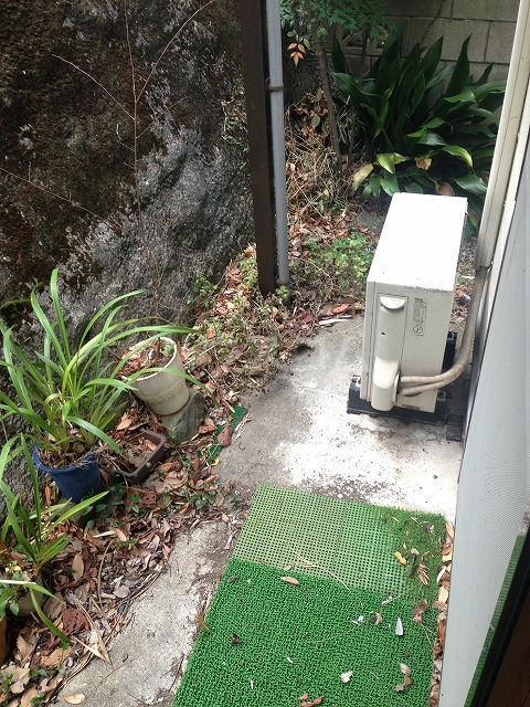 15/21 その他画像