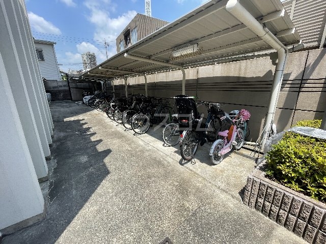 20/30 その他画像