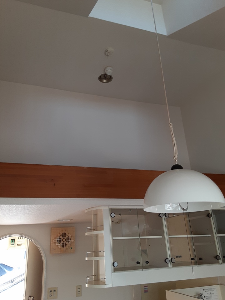 16/25 その他画像