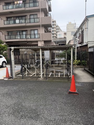 5/6 周辺