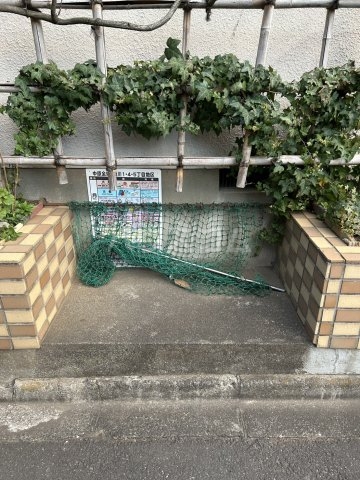 21/23 その他画像