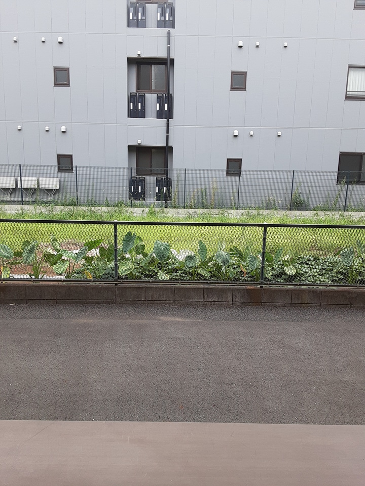 15/28 その他画像