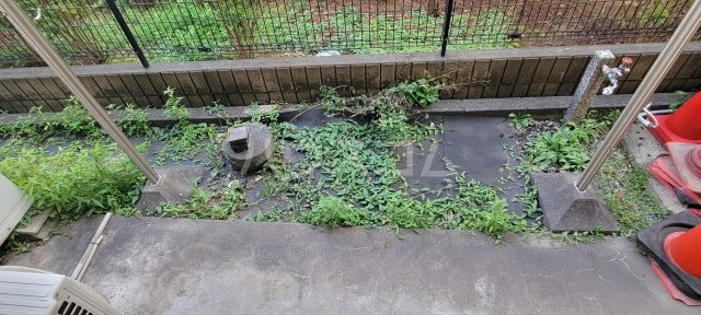 20/26 その他画像