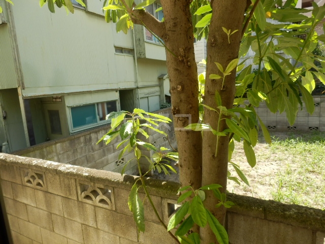 19/23 その他画像