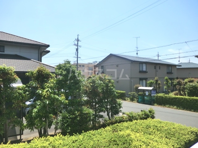 20/30 その他画像