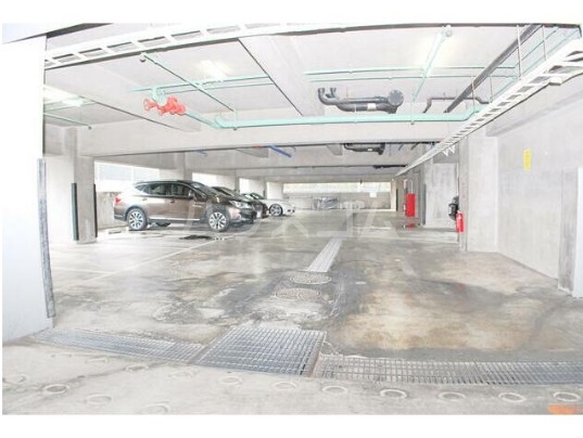 13/19 その他画像