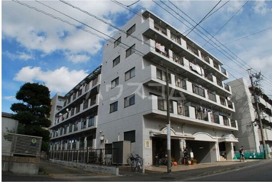 15/19 その他画像