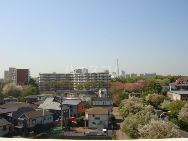 22/25 その他画像