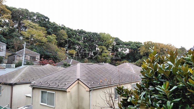 19/26 その他画像