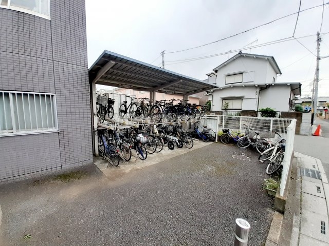 20/30 その他画像