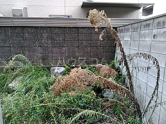 13/22 その他画像