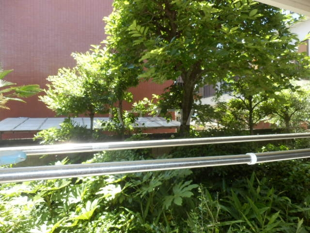 17/24 その他画像