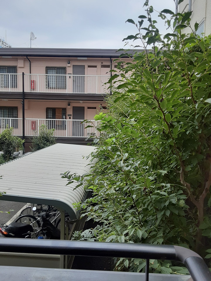 15/30 その他画像