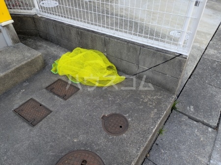 27/30 その他画像