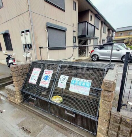 20/30 その他画像