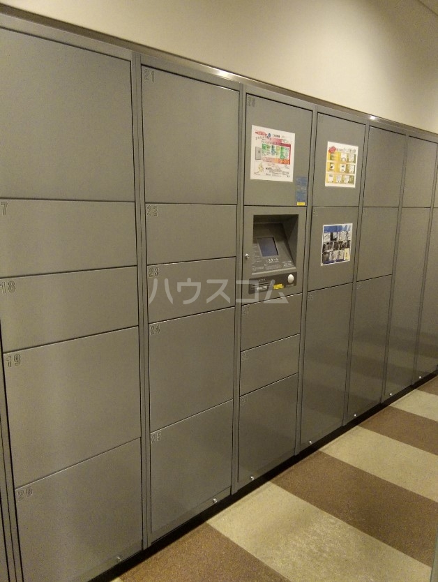 20/30 その他画像