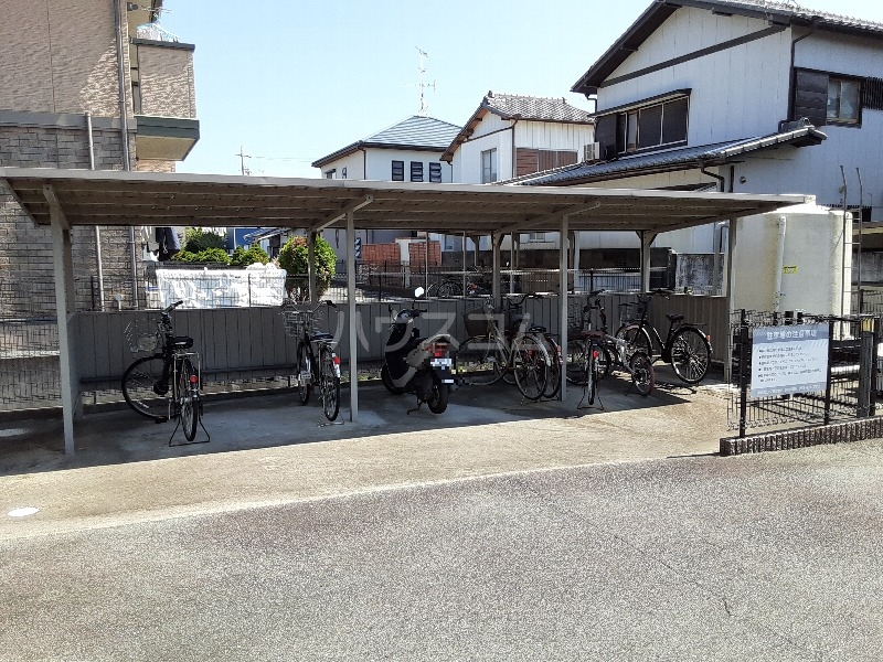 20/30 その他画像