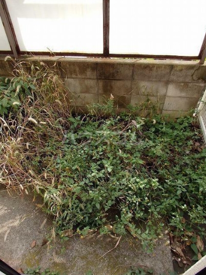 12/15 その他画像