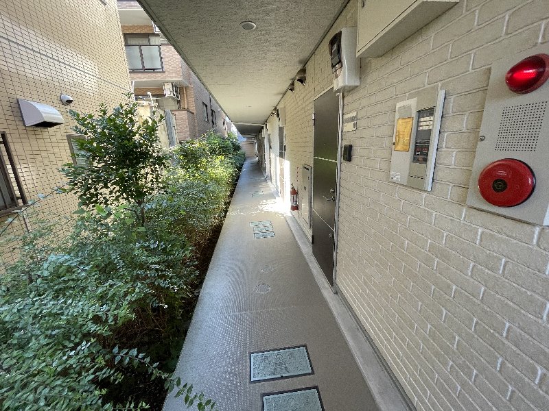 19/25 その他画像