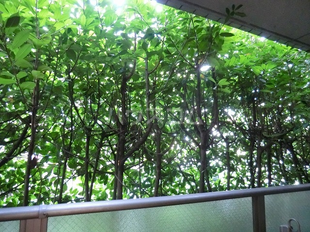 15/29 その他画像