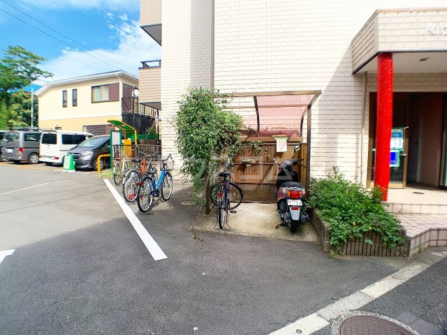 20/30 その他画像