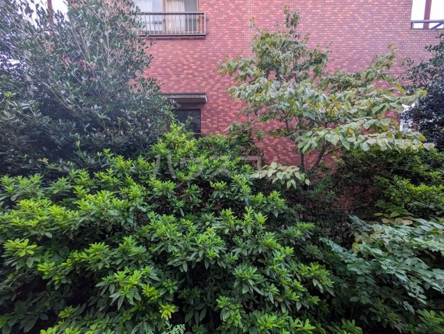 14/25 その他画像