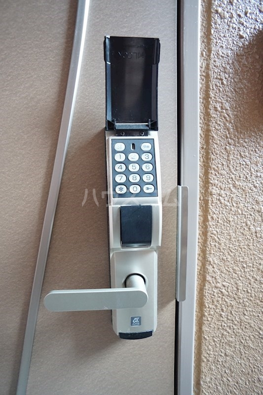 26/30 その他画像