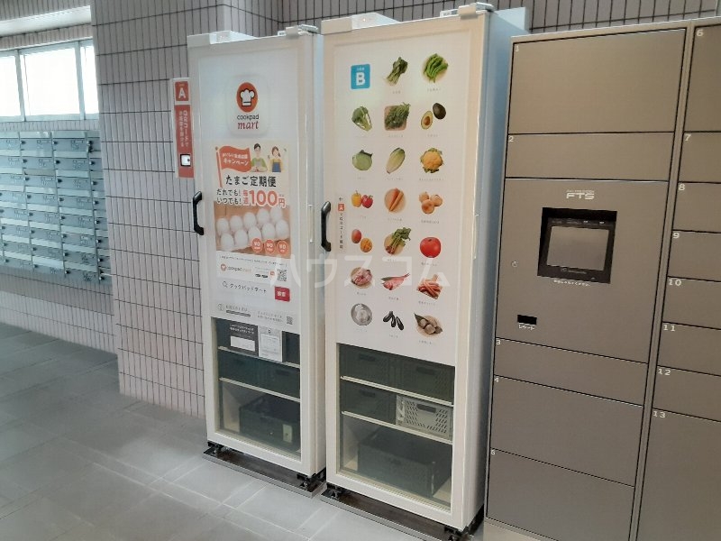 25/30 その他画像