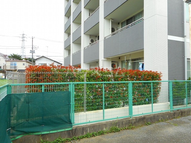 21/30 その他画像