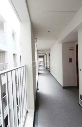 15/25 その他画像