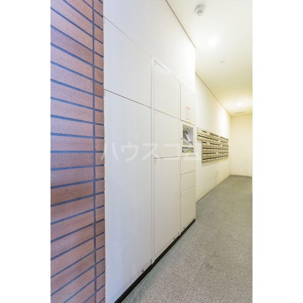 20/30 その他画像