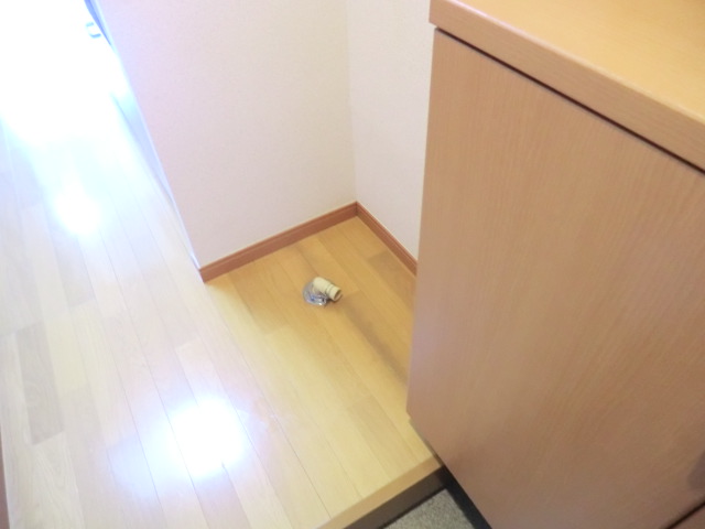 9/28 玄関