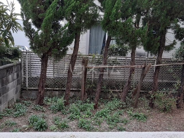 26/30 その他画像