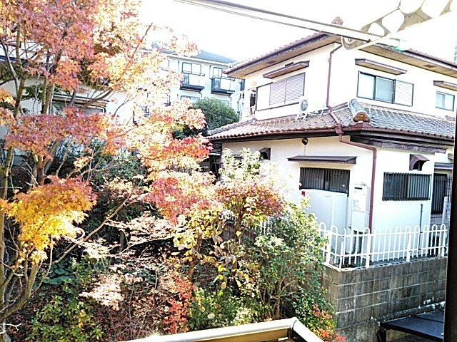景色