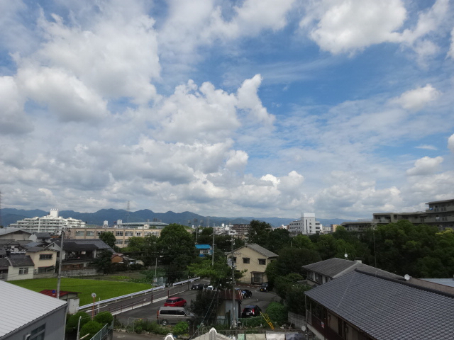 20/29 その他画像