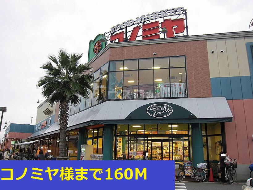 19/30 周辺