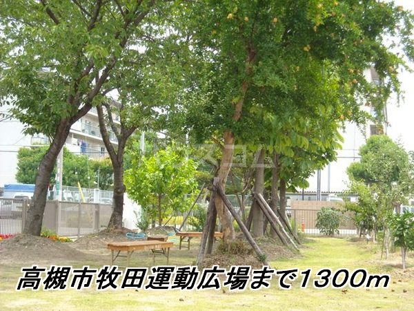 20/30 周辺