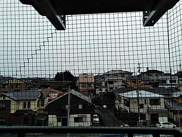 12/23 その他画像