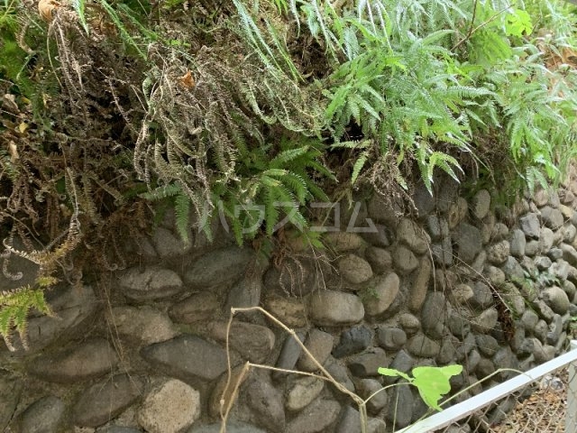 18/26 その他画像