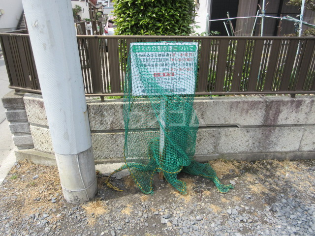 15/25 その他画像