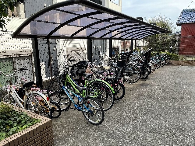 20/30 その他画像