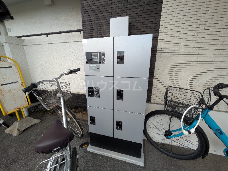 20/30 その他画像