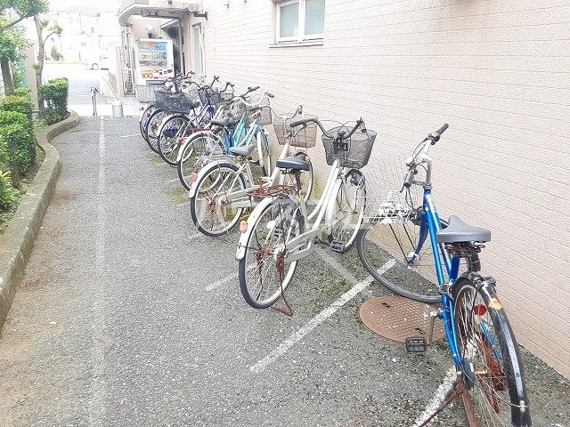 20/30 その他画像