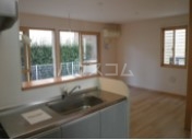 17/29 その他画像