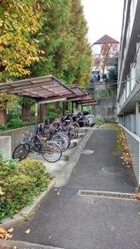 11/15 その他画像