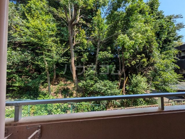 14/22 その他画像