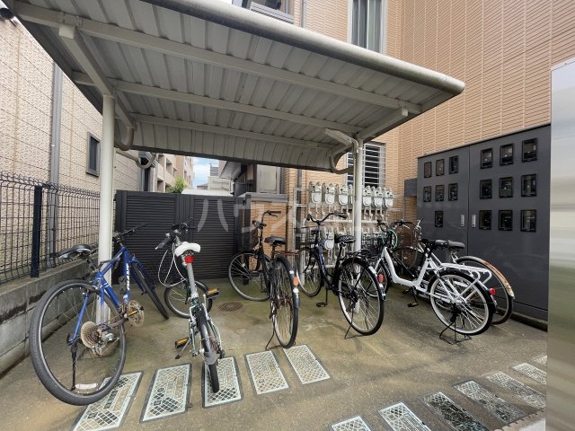 20/30 その他画像