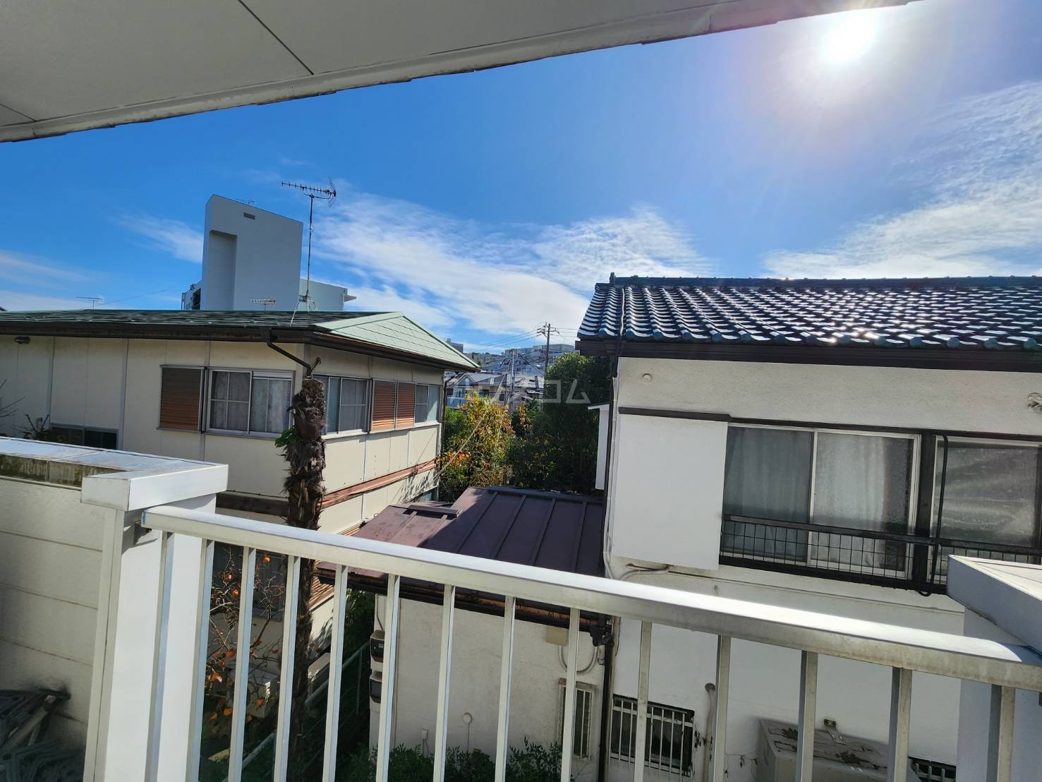 19/24 その他画像